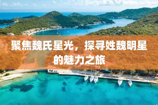 聚焦魏氏星光，探寻姓魏明星的魅力之旅