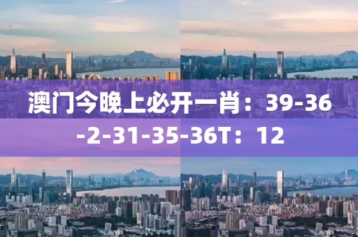 澳门今晚上必开一肖：39-36-2-31-35-36T：12