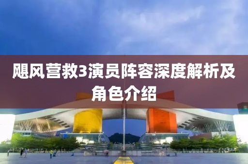 飓风营救3演员阵容深度解析及角色介绍