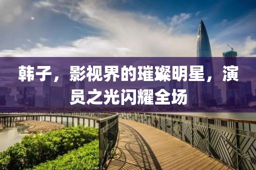 韩子，影视界的璀璨明星，演员之光闪耀全场