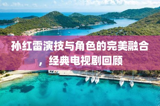 孙红雷演技与角色的完美融合，经典电视剧回顾