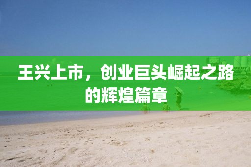 王兴上市，创业巨头崛起之路的辉煌篇章
