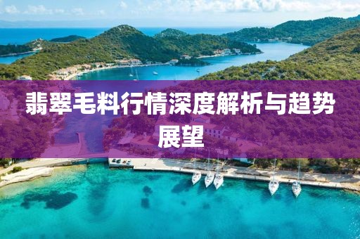 翡翠毛料行情深度解析与趋势展望
