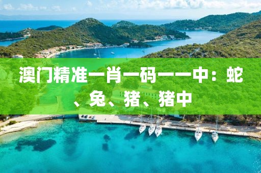 澳门精准一肖一码一一中：蛇、兔、猪、猪中