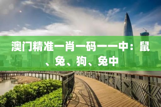 澳门精准一肖一码一一中：鼠、兔、狗、兔中