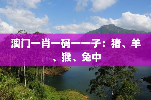澳门一肖一码一一子：猪、羊、猴、兔中