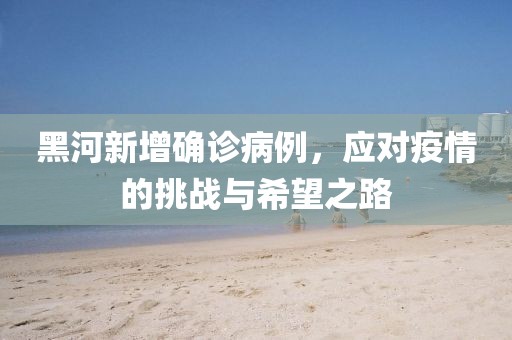 黑河新增确诊病例，应对疫情的挑战与希望之路