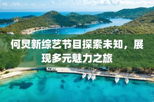 何炅新综艺节目探索未知，展现多元魅力之旅