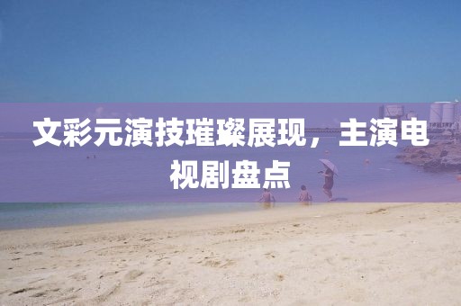 文彩元演技璀璨展现，主演电视剧盘点