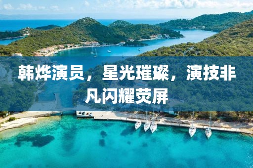 韩烨演员，星光璀璨，演技非凡闪耀荧屏
