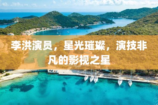 李洪演员，星光璀璨，演技非凡的影视之星