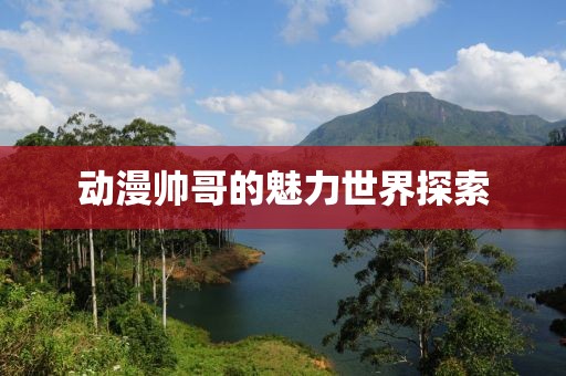 动漫帅哥的魅力世界探索