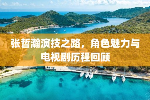 张哲瀚演技之路，角色魅力与电视剧历程回顾