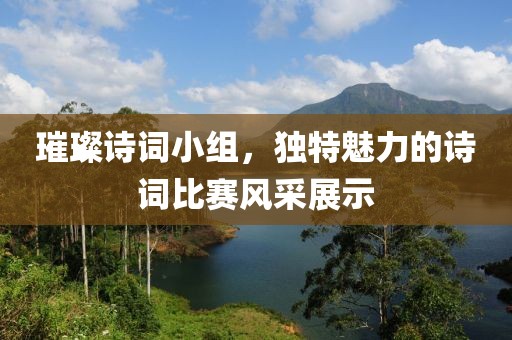 璀璨诗词小组，独特魅力的诗词比赛风采展示