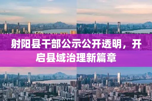 射阳县干部公示公开透明，开启县域治理新篇章