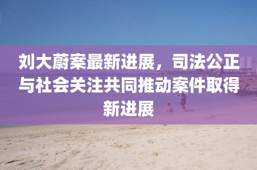 刘大蔚案最新进展，司法公正与社会关注共同推动案件取得新进展