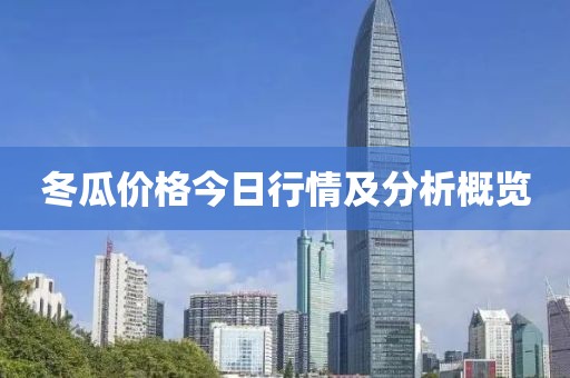 冬瓜价格今日行情及分析概览