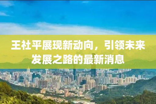 王社平展现新动向，引领未来发展之路的最新消息
