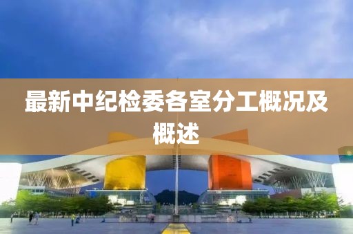 最新中纪检委各室分工概况及概述