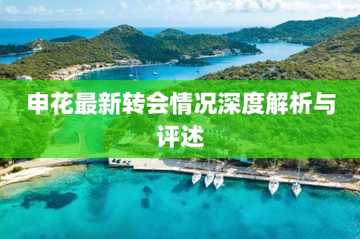 申花最新转会情况深度解析与评述