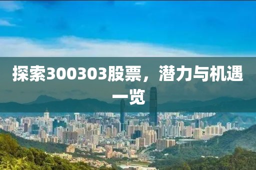 探索300303股票，潜力与机遇一览