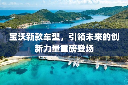 宝沃新款车型，引领未来的创新力量重磅登场