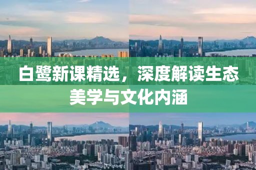 白鹭新课精选，深度解读生态美学与文化内涵
