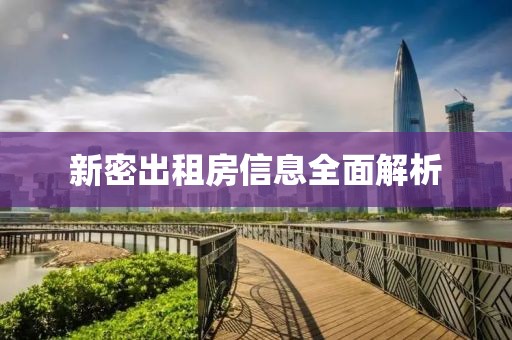 新密出租房信息全面解析