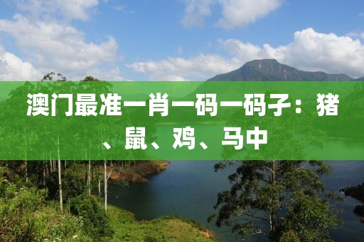 澳门最准一肖一码一码孑：猪、鼠、鸡、马中