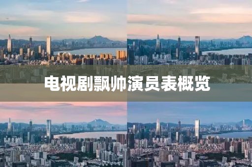 电视剧飘帅演员表概览