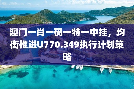 澳门一肖一码一特一中挂，均衡推进U770.349执行计划策略