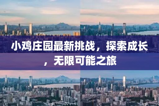 小鸡庄园最新挑战，探索成长，无限可能之旅