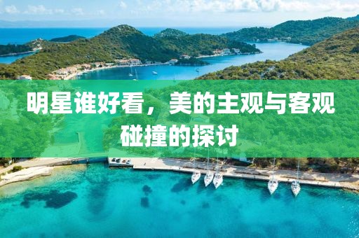 明星谁好看，美的主观与客观碰撞的探讨