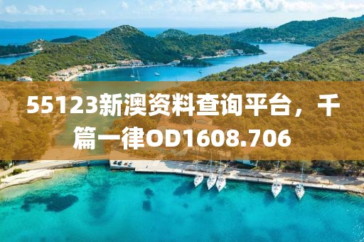 55123新澳资料查询平台，千篇一律OD1608.706