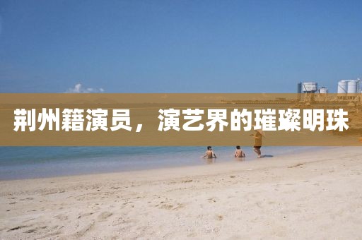 荆州籍演员，演艺界的璀璨明珠