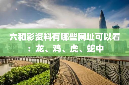 六和彩资料有哪些网址可以看：龙、鸡、虎、蛇中