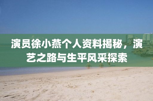 演员徐小燕个人资料揭秘，演艺之路与生平风采探索