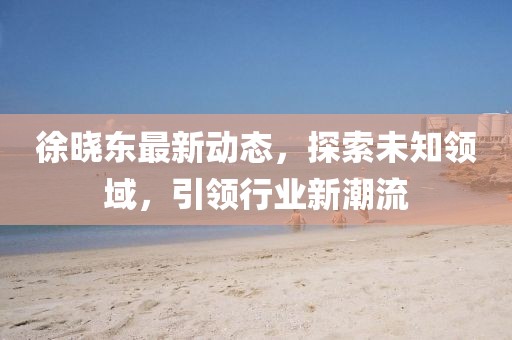 徐晓东最新动态，探索未知领域，引领行业新潮流