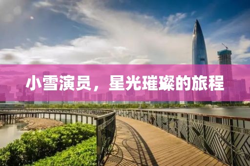 小雪演员，星光璀璨的旅程