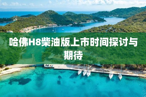 哈佛H8柴油版上市时间探讨与期待
