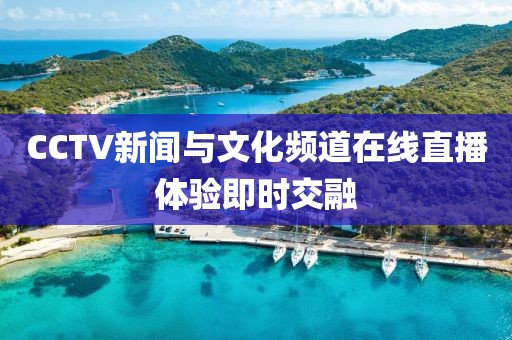CCTV新闻与文化频道在线直播体验即时交融