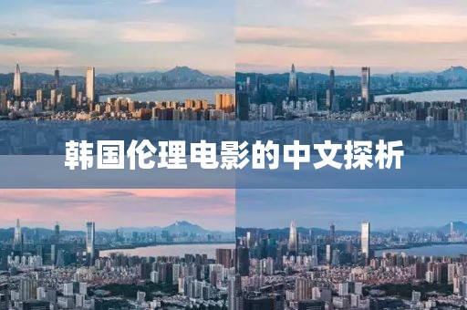 韩国伦理电影的中文探析
