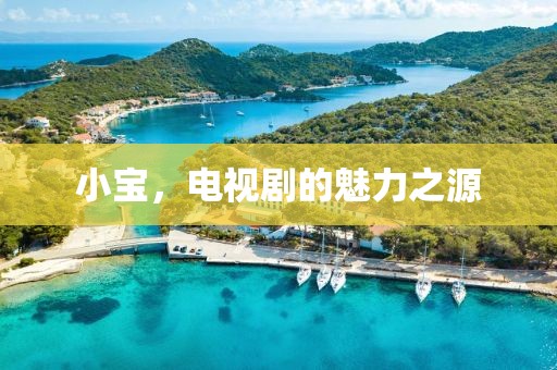 小宝，电视剧的魅力之源