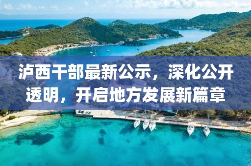 泸西干部最新公示，深化公开透明，开启地方发展新篇章