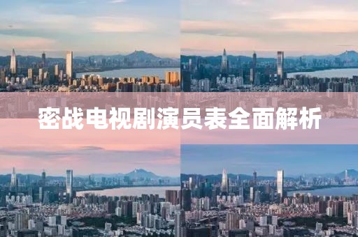 密战电视剧演员表全面解析
