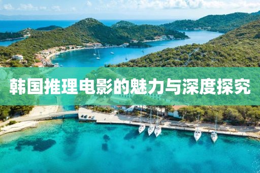 韩国推理电影的魅力与深度探究