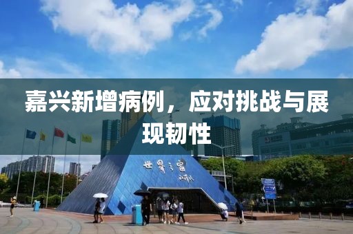 嘉兴新增病例，应对挑战与展现韧性