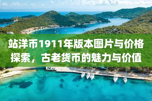 站洋币1911年版本图片与价格探索，古老货币的魅力与价值