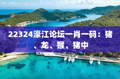 22324濠江论坛一肖一码：猪、龙、猴、猪中