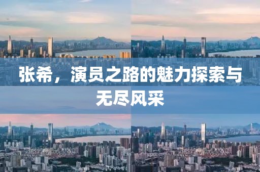 张希，演员之路的魅力探索与无尽风采